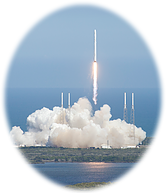 Samples_of_Caenorhabditis_elegans_strains_from_our