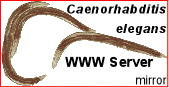IMBB_is_now_mirroring_the_Caenorhabditis_elegans_W